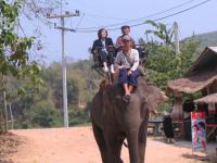 post-94255-0-83685200-1299061709_thumb.j