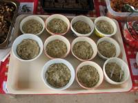 post-110702-0-16575700-1332673270_thumb.