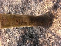 post-122083-0-65190700-1330572201_thumb.