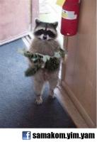 post-41194-0-53645900-1331563479_thumb.j