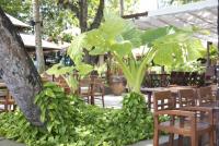 post-62520-0-64899500-1331452295_thumb.j