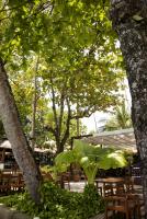 post-62520-0-70362600-1331452359_thumb.j