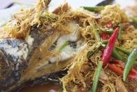 post-62520-0-70564500-1331452552_thumb.j