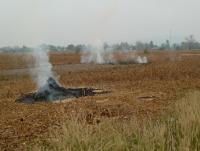 post-72973-0-46694600-1331442810_thumb.j