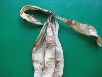 post-89478-0-58086700-1332148019_thumb.j