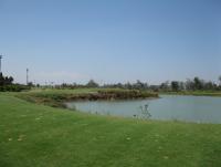 post-96577-0-23341400-1331092996_thumb.j