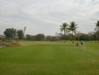 post-96577-0-29968600-1331090094_thumb.j