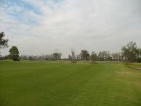 post-96577-0-33754300-1331089904_thumb.j