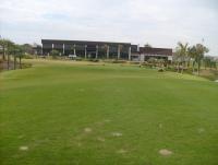 post-96577-0-37131900-1331090025_thumb.j