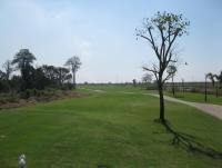 post-96577-0-84451700-1331092898_thumb.j