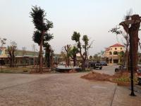 post-103222-0-34184200-1363591439_thumb.