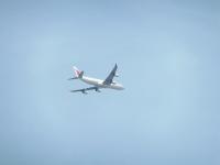 post-104736-0-74907200-1364284821_thumb.