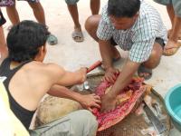 post-126208-0-41077300-1364489556_thumb.