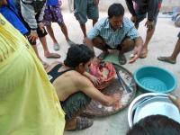 post-126208-0-49988300-1364489555_thumb.