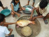 post-126208-0-87235300-1364489551_thumb.