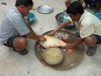 post-126208-0-97316300-1364489552_thumb.