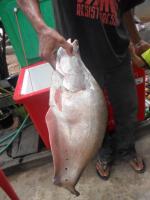 post-126208-0-98091200-1364488557_thumb.