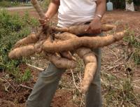 post-14625-0-00312700-1364207891_thumb.j