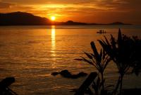 post-22832-0-59425600-1362111156_thumb.j