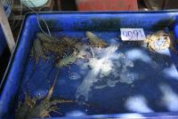 post-62520-0-23150100-1364722280_thumb.j