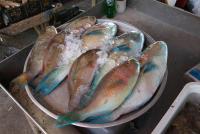 post-62520-0-45742700-1364721843_thumb.j