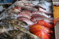 post-62520-0-67787100-1364721856_thumb.j