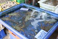 post-62520-0-86076900-1364722266_thumb.j