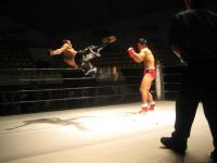 post-63766-0-01049700-1364746547_thumb.j