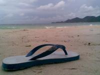 post-70928-0-06907500-1363284945_thumb.j