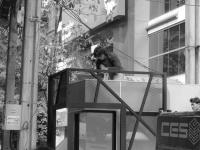 post-70928-0-08433900-1364250177_thumb.j