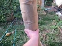 post-70928-0-08475700-1364033054_thumb.j