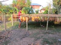 post-70928-0-22888300-1364095219_thumb.j