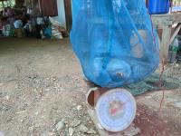 post-70928-0-24830600-1364428953_thumb.j