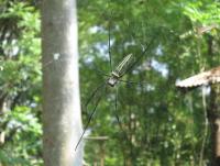 post-70928-0-47212800-1364110798_thumb.j