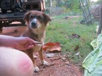 post-70928-0-53798600-1364006633_thumb.j