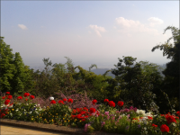 post-78923-0-24935200-1363507825_thumb.p