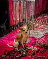 post-107798-0-12220100-1394898250_thumb.