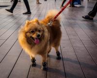 post-107798-0-57354700-1393767638_thumb.