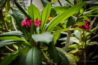 post-107798-0-94247200-1395655694_thumb.