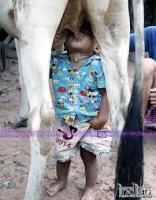 post-108180-0-88747300-1396185743_thumb.