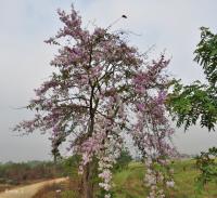 post-12069-0-20625300-1393908216_thumb.j