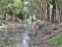 post-12069-0-42134800-1395541477_thumb.j