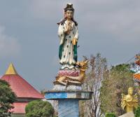 post-12069-0-79557800-1394254157_thumb.j