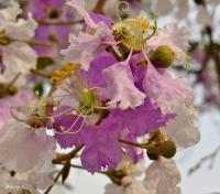 post-12069-0-97813600-1393908325_thumb.j