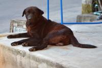 post-146250-0-90048700-1395580573_thumb.