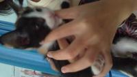 post-14639-0-41085700-1395410616_thumb.j