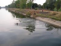 post-148604-0-15958200-1394575148_thumb.