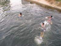 post-148604-0-23326200-1394575151_thumb.