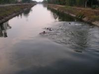 post-148604-0-59142200-1394575149_thumb.