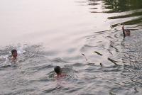 post-148604-0-70302500-1394575265_thumb.